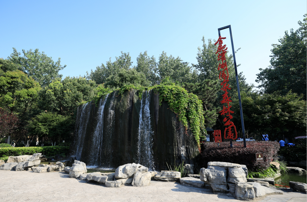 東庵森林公園游玩攻略_英語嘉賓怎么說_tcl怎么安裝騰訊視頻tv版