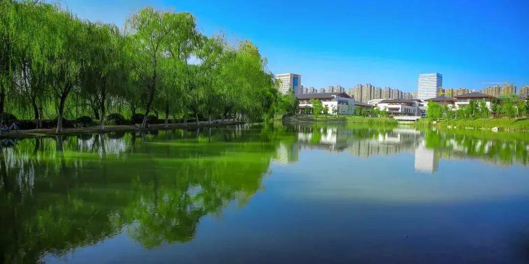 英語嘉賓怎么說_東庵森林公園游玩攻略_tcl怎么安裝騰訊視頻tv版