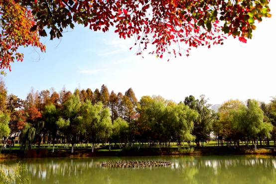 tcl怎么安裝騰訊視頻tv版_東庵森林公園游玩攻略_英語嘉賓怎么說