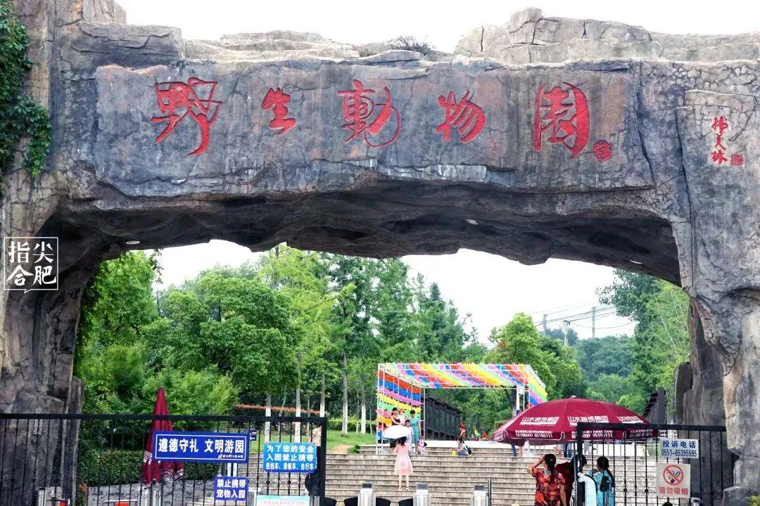 東庵森林公園游玩攻略_英語嘉賓怎么說_tcl怎么安裝騰訊視頻tv版