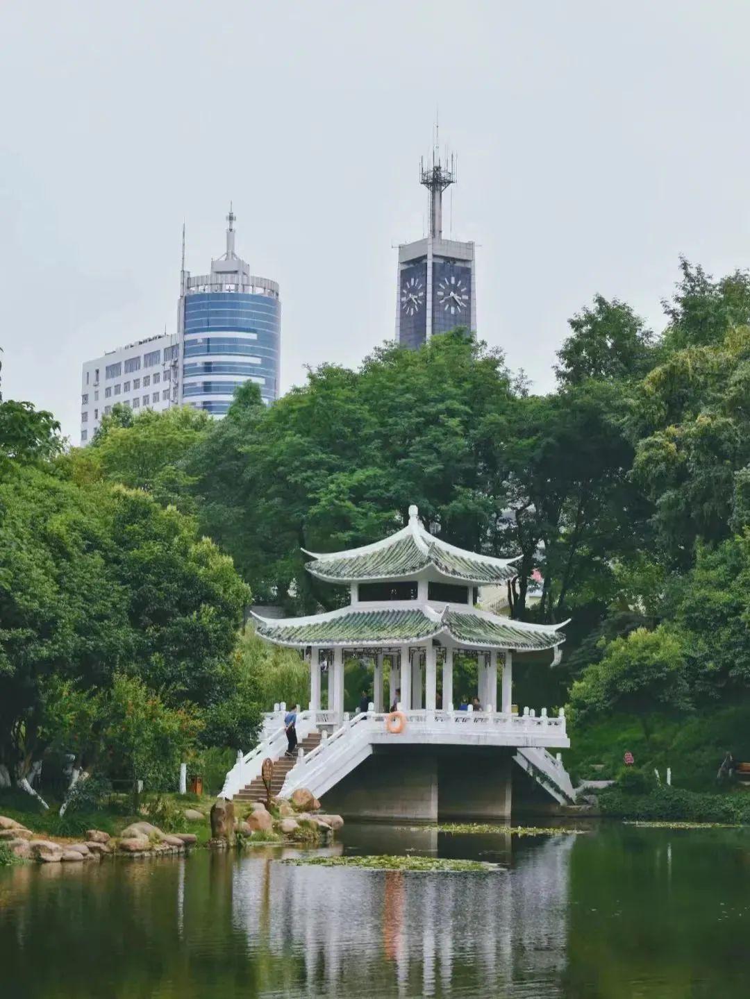 東庵森林公園游玩攻略_tcl怎么安裝騰訊視頻tv版_英語嘉賓怎么說
