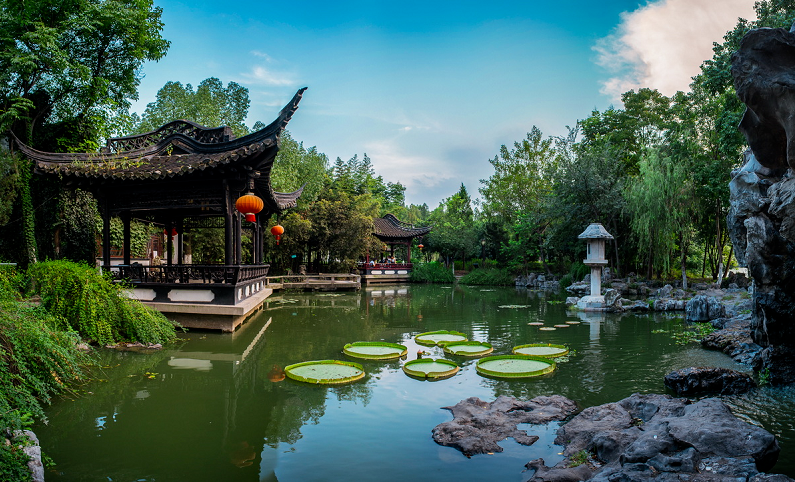 東庵森林公園游玩攻略_tcl怎么安裝騰訊視頻tv版_英語嘉賓怎么說
