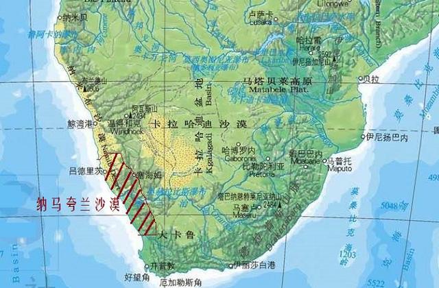 高多肉植物怎么養_高多肉叫什么名字_高的多肉植物
