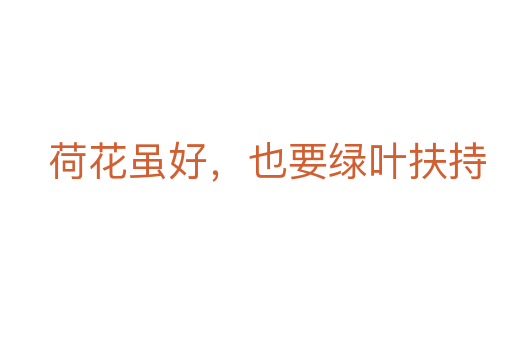 荷花雖好,也要綠葉扶持