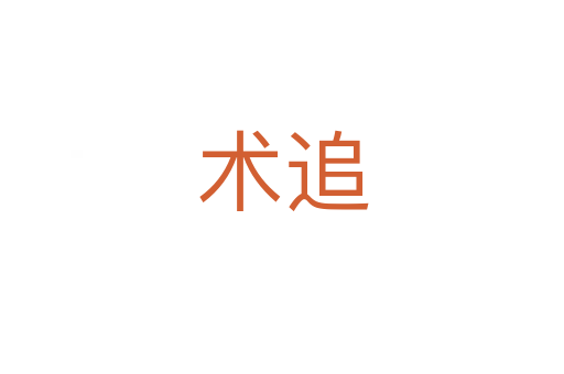 術追