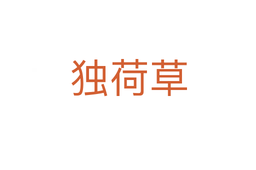 獨荷草