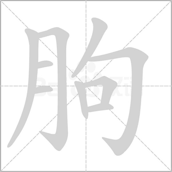 朐的筆順動(dòng)畫演示