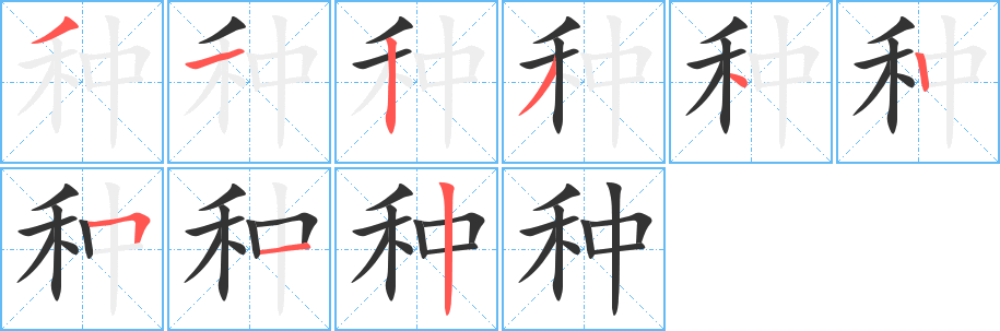 種的筆順?lè)植窖菔?>
					
                    <hr />
                    <h2>種的基本信息</h2>
                    <div   id=