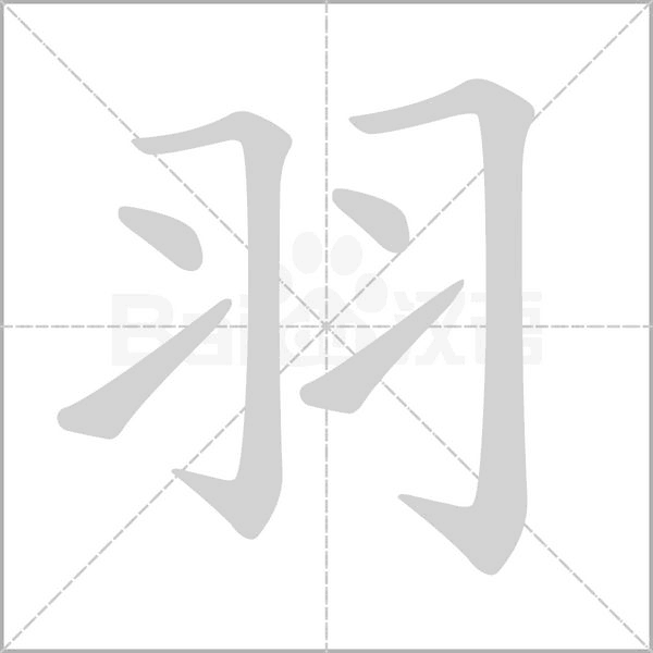 羽的筆順動畫演示