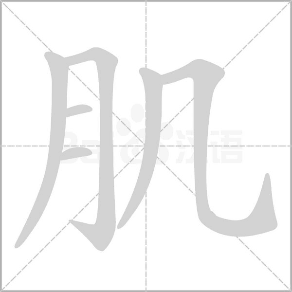 肌的筆順動(dòng)畫演示