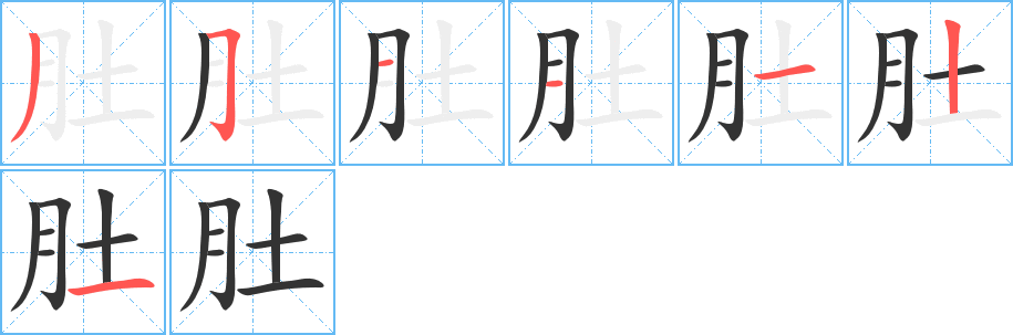 肚的筆順分步演示