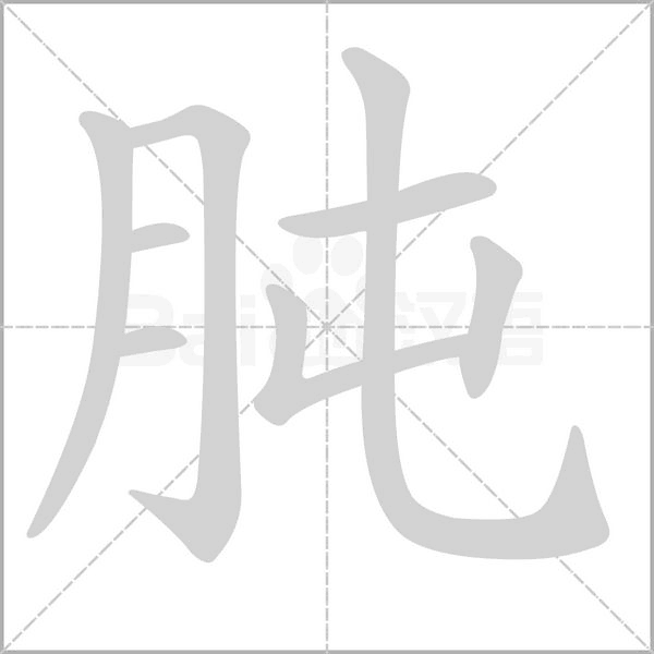 肫的筆順動(dòng)畫(huà)演示
