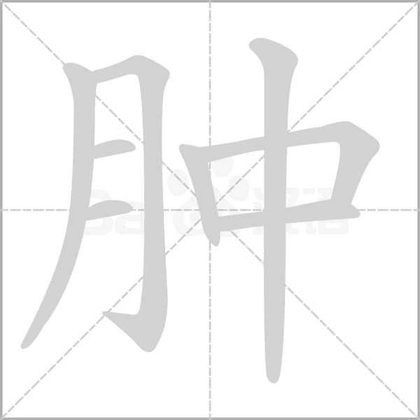 腫的筆順動畫演示