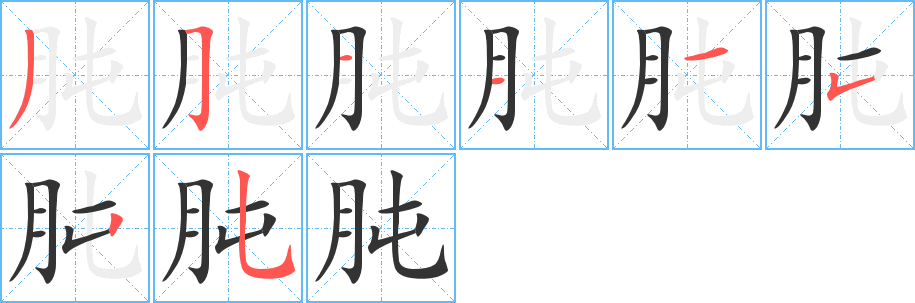 肫的筆順?lè)植窖菔?>
					
                    <hr />
                    <h2>肫的基本信息</h2>
                    <div   id=