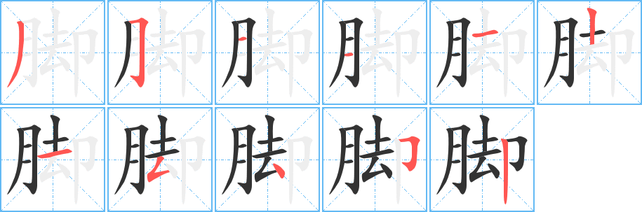腳的筆順?lè)植窖菔?>
					
                    <hr />
                    <h2>腳的基本信息</h2>
                    <div   id=