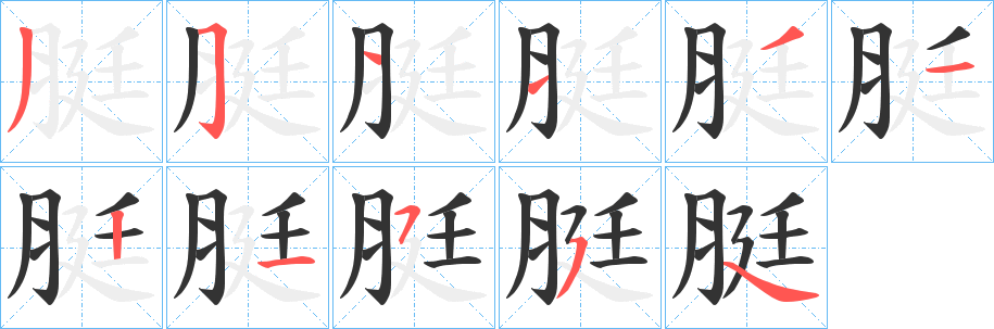 脡的筆順?lè)植窖菔?>
					
                    <hr />
                    <h2>脡的基本信息</h2>
                    <div   id=