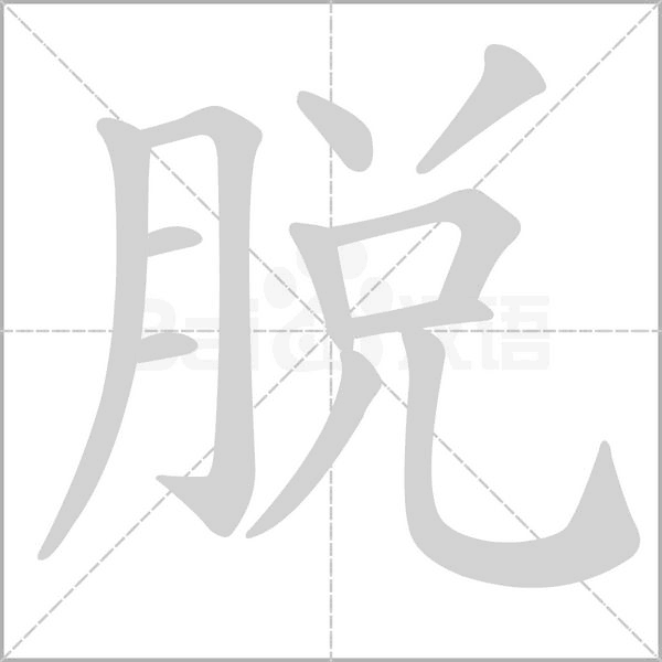 脫的筆順動(dòng)畫演示