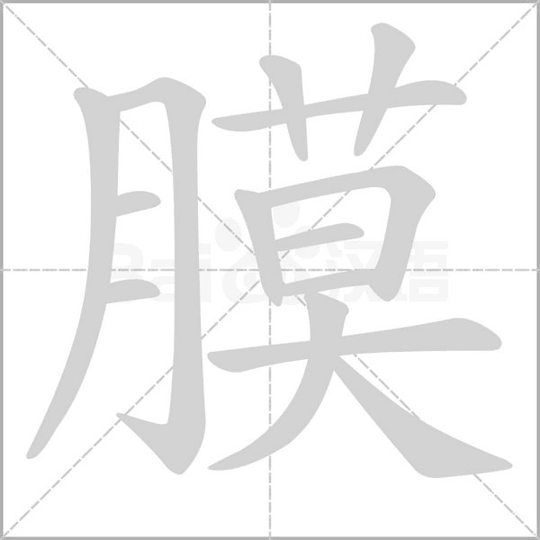 膜的筆順動畫演示