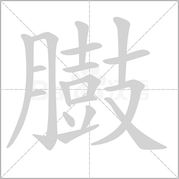 臌的筆順動(dòng)畫演示