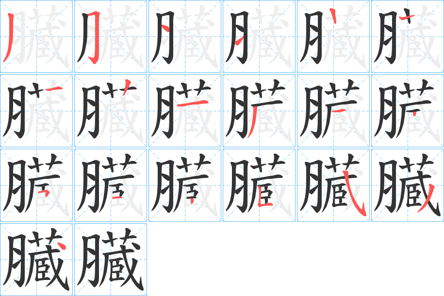臓的筆順分步演示