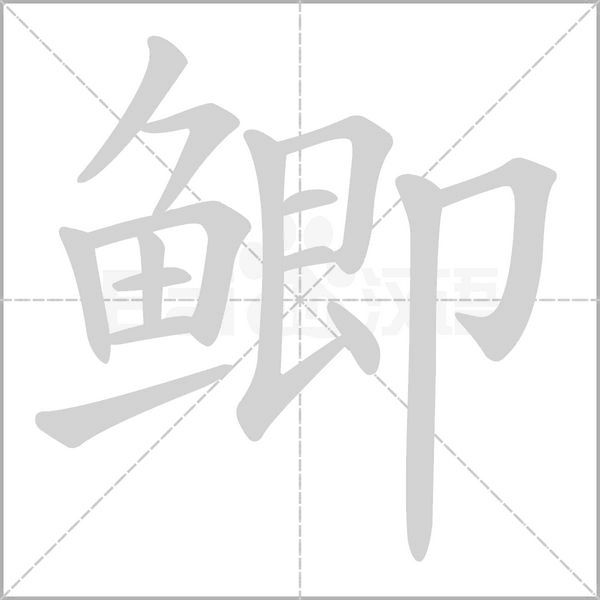 鯽的筆順動(dòng)畫(huà)演示