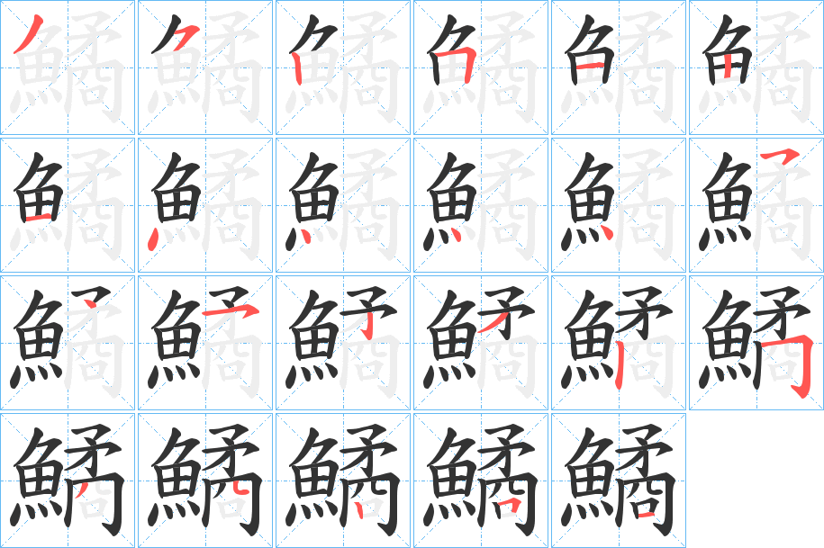 鱊的筆順分步演示