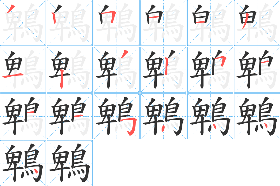 鵯的筆順?lè)植窖菔?>
					
                    <hr />
                    <h2>鵯的基本信息</h2>
                    <div   id=